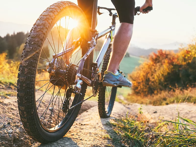 Kalendarz online dla wypożyczalni rowerów - rowerzysta na trasie